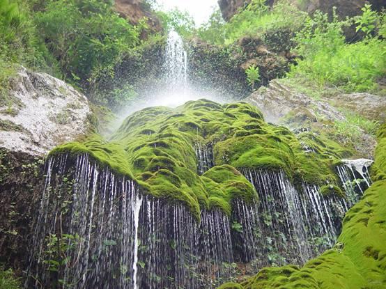 福建永定:沃柑俏枝头 乡村产业旺