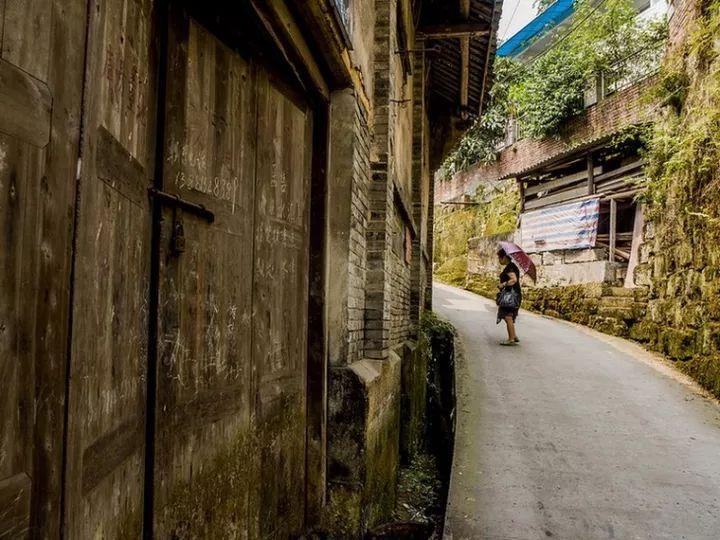 守望先锋电竞